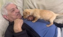 N&uacute;cleo de Prote&ccedil;&atilde;o Animal (Nubea) leva animais e alegria a idosos da Associa&ccedil;&atilde;o Manuel Maria