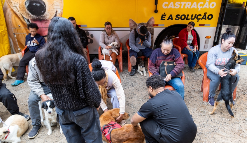 No total, 98 animais foram castrados, entre cães e gatos, nos períodos da manhã e da tarde, na região do Cocuera, onde aconteceu o mutirão (Divulgação/PMMC)